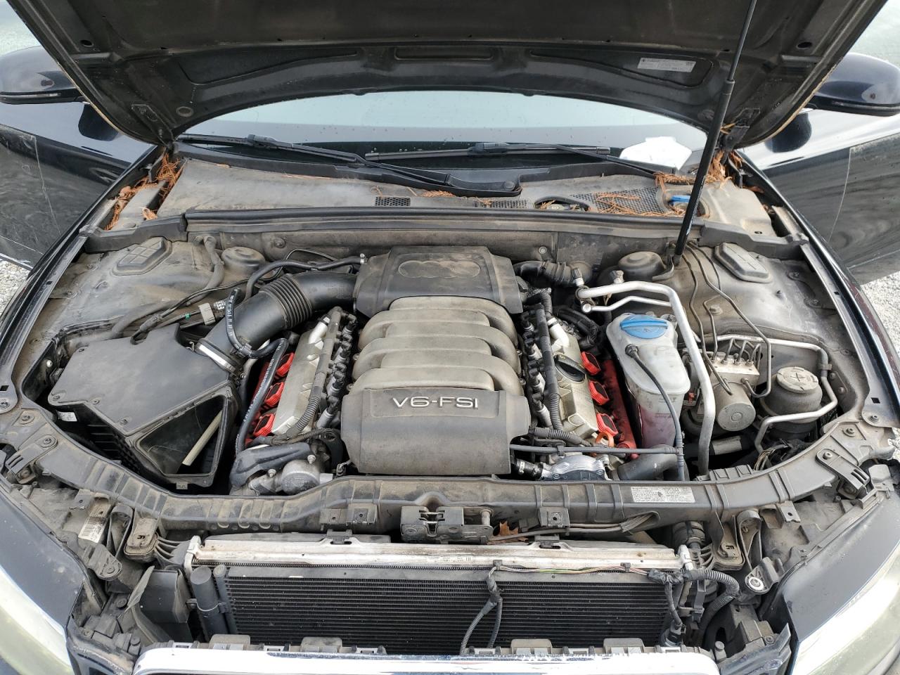 2009 Audi A5 VIN WAUDK78T49A024583 Copart auction photo, side / minor dent/scratches damage thumbnail 11