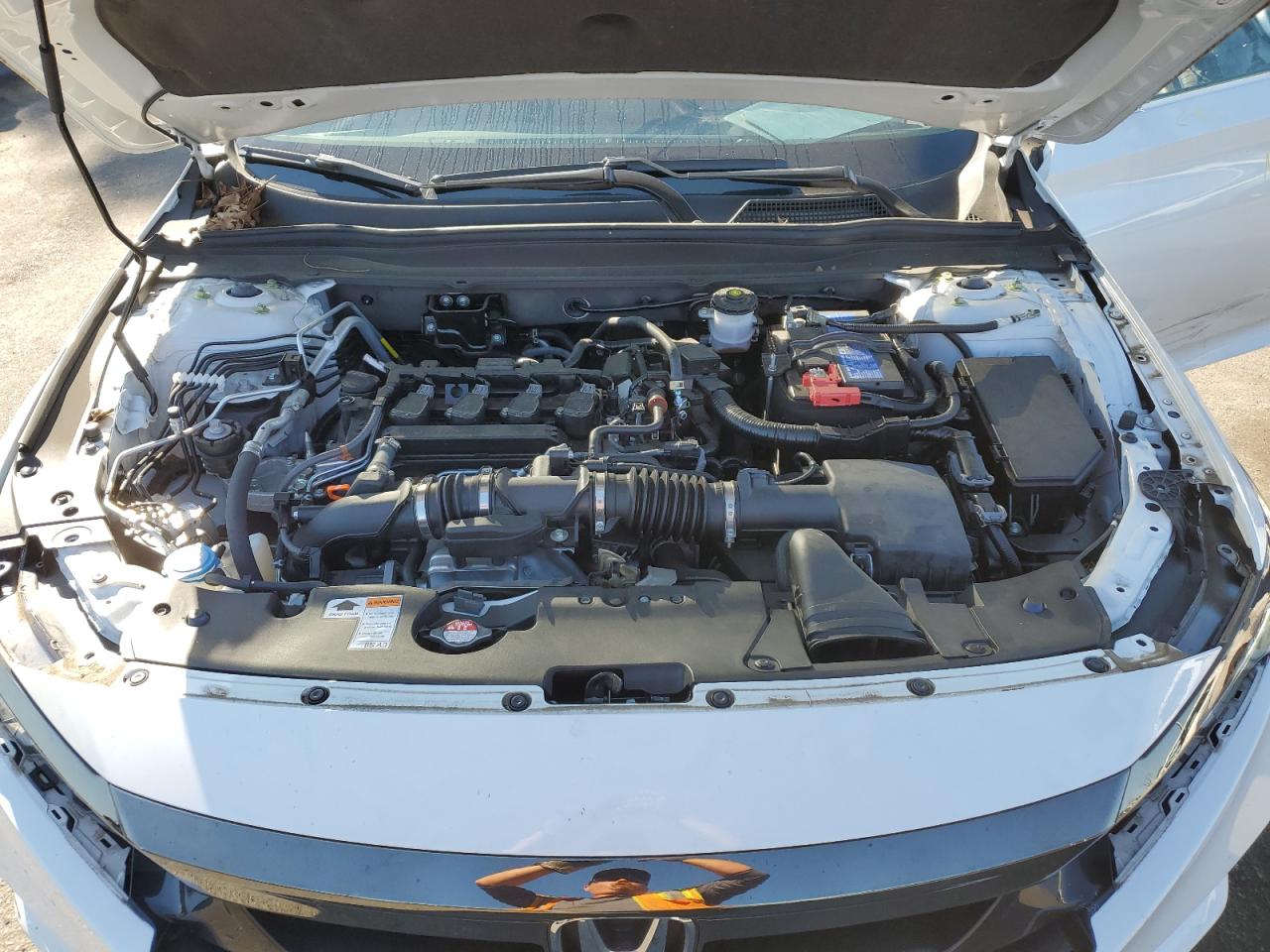 2021 Honda Accord VIN 1HGCV1F38MA116604 Copart auction photo, side damage thumbnail 11
