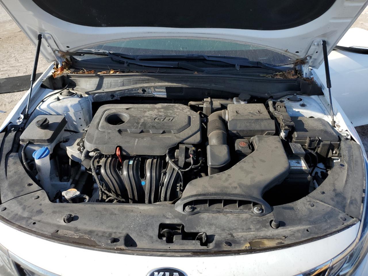 2020 KIA Optima VIN 5XXGT4L35LG393533 Copart auction photo, side / rear end damage thumbnail 13