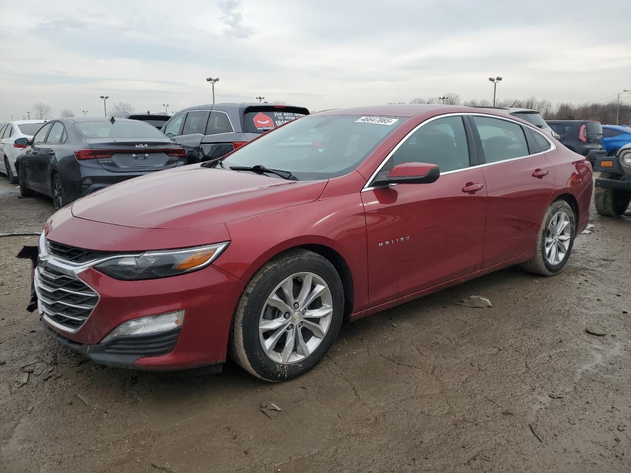 2019 Chevrolet Malibu VIN 1G1ZD5ST0KF111771