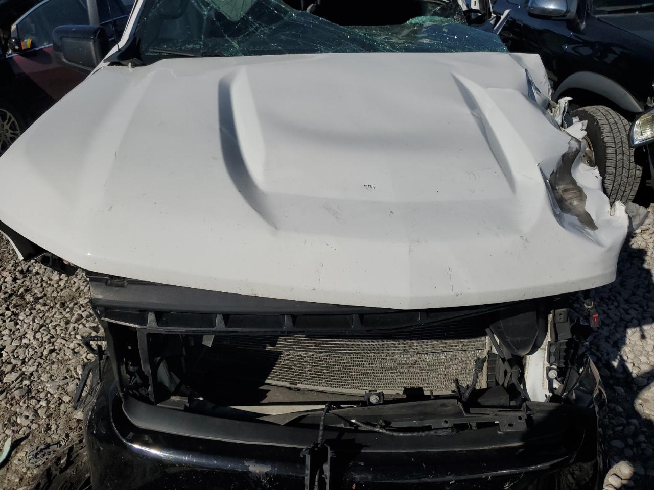 2019 Chevrolet Silverado VIN 1GCPYFED2KZ383167 Copart auction photo, biohazard/chemical / all over damage thumbnail 11