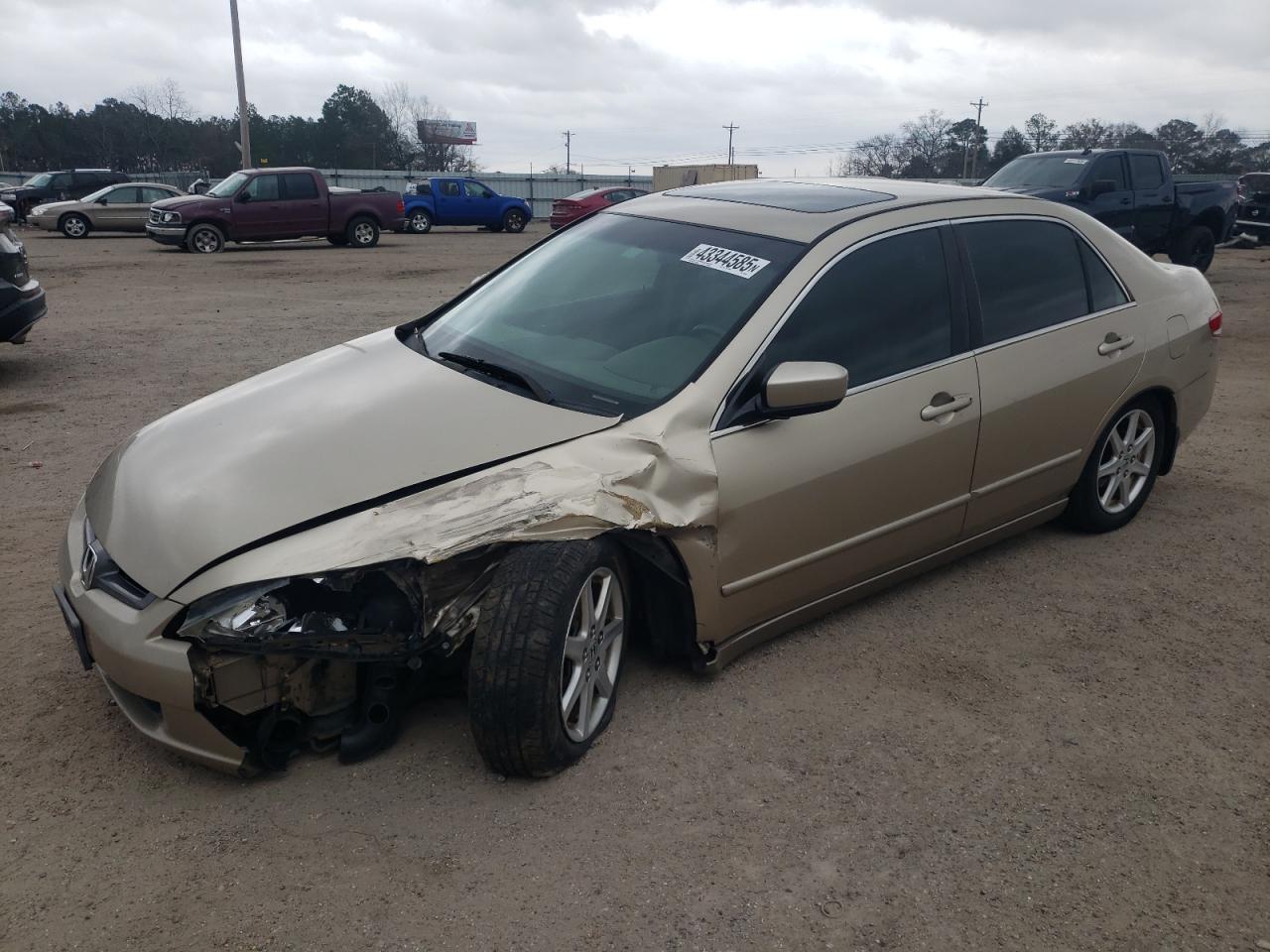 2004 Honda Accord VIN 1HGCM66894A029919