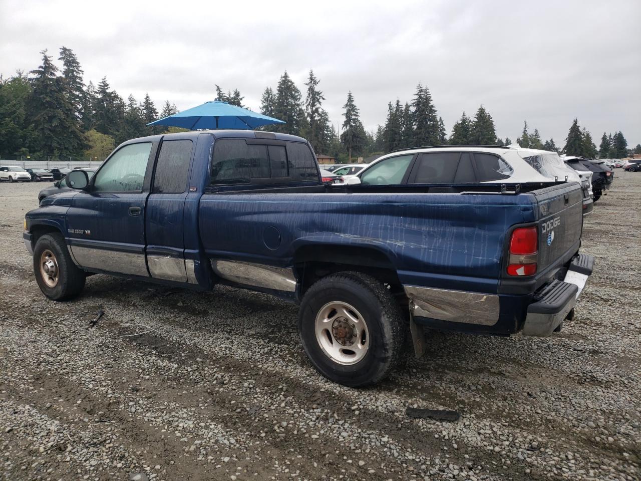 2001 Dodge RAM VIN 3B7KC23Z71G739689 Copart auction photo, side / minor dent/scratches damage thumbnail 2