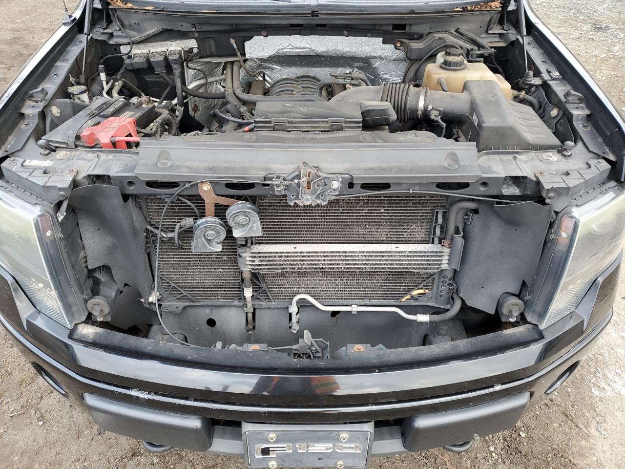2013 Ford F-150 VIN 1FTFW1EF8DFB16836 Copart auction photo, rear end damage thumbnail 11
