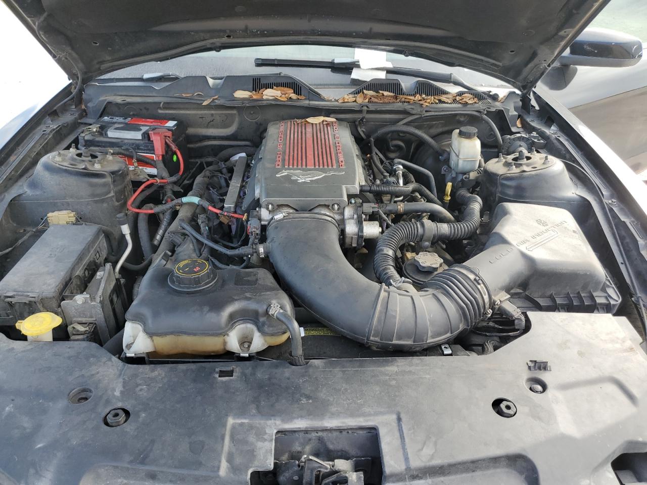2010 Ford Mustang VIN 1ZVBP8CH0A5149451 Copart auction photo, rear end / minor dent/scratches damage thumbnail 12