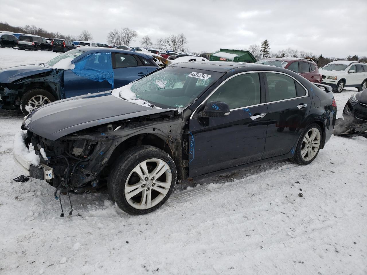 2010 Acura TSX VIN JH4CU4F42AC003189