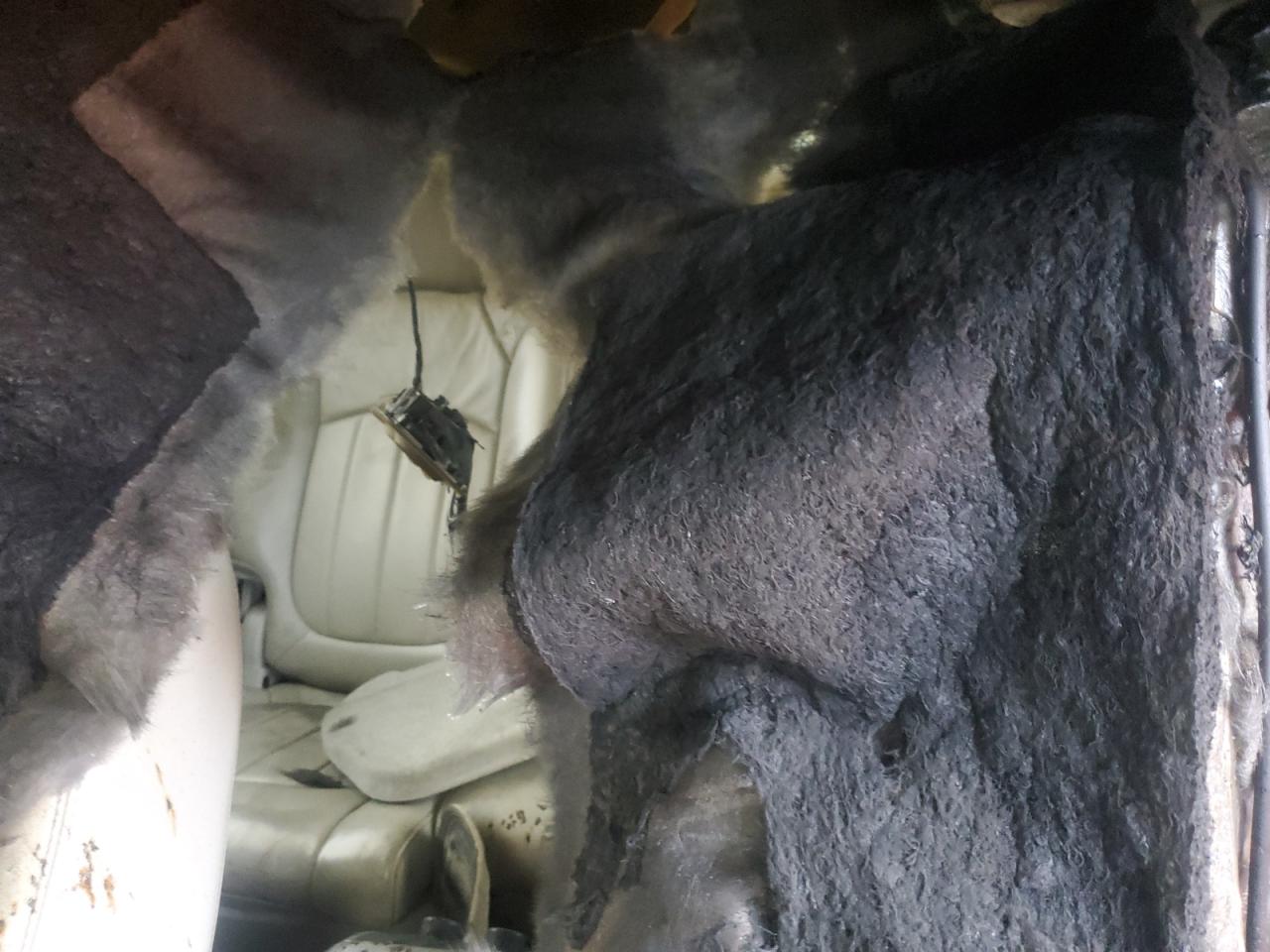 2010 Buick Enclave VIN 5GALRBED5AJ160835 Copart auction photo, burn - interior / minor dent/scratches damage thumbnail 10