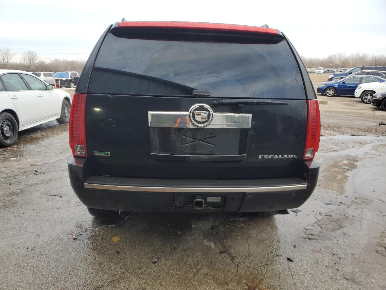2010 Cadillac Escalade VIN 1GYUKCEF5AR224284 Copart auction photo, side damage thumbnail 6