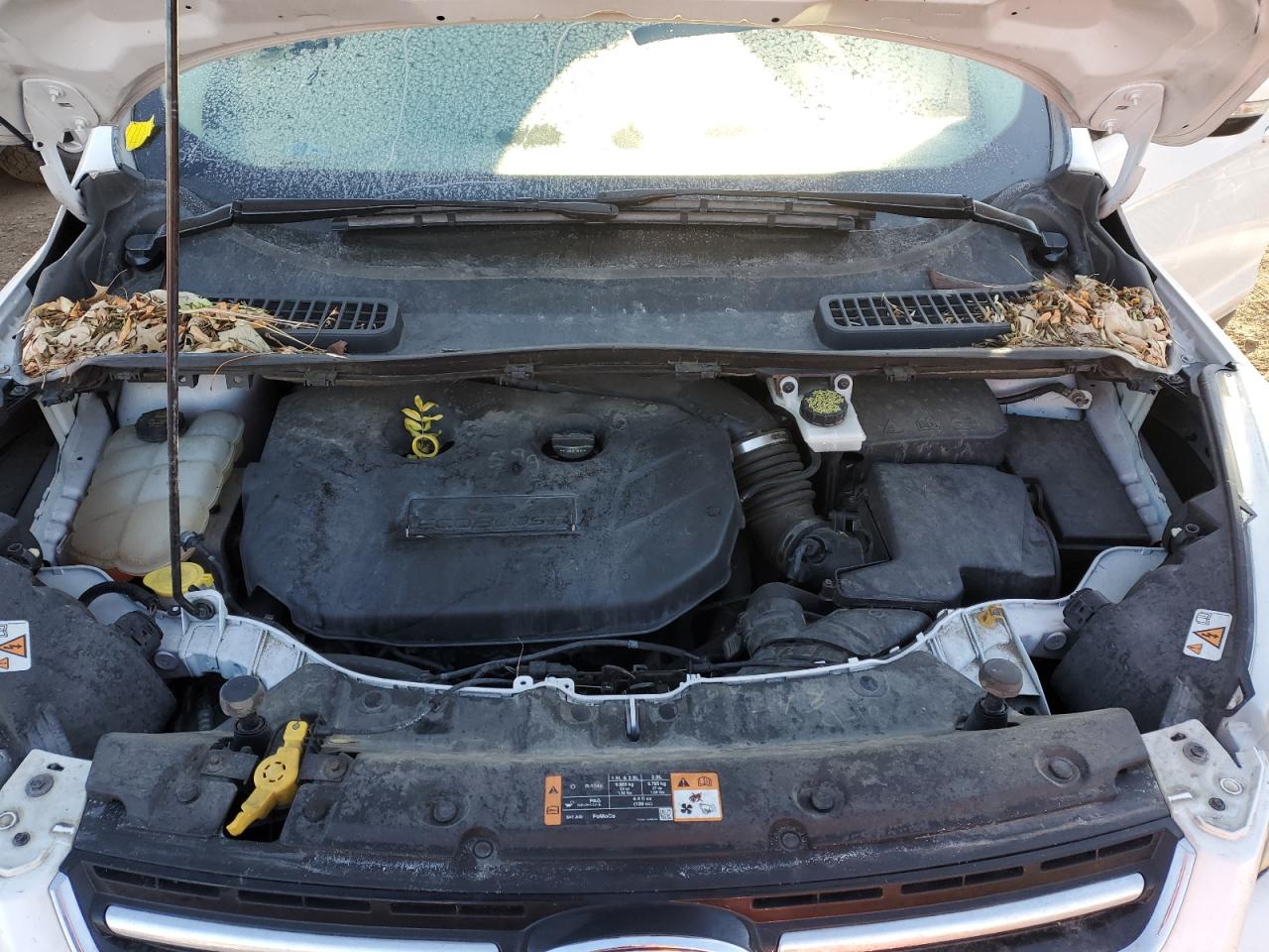 2016 Ford Escape VIN 1FMCU0J97GUA09209 Copart auction photo, rear end / minor dent/scratches damage thumbnail 12