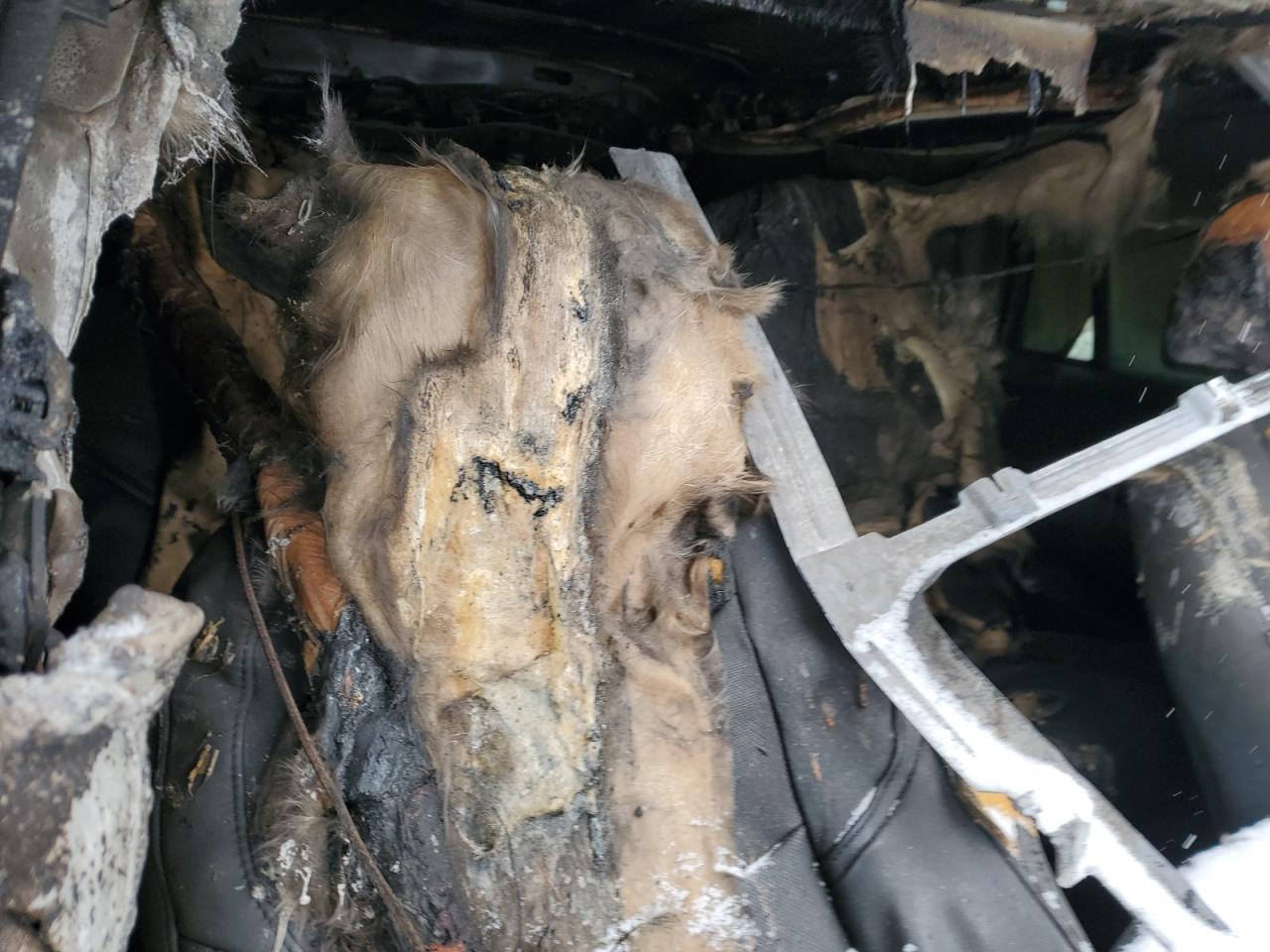 2015 Cadillac Escalade VIN 1GYS4BKJ9FR220279 Copart auction photo, burn damage thumbnail 10