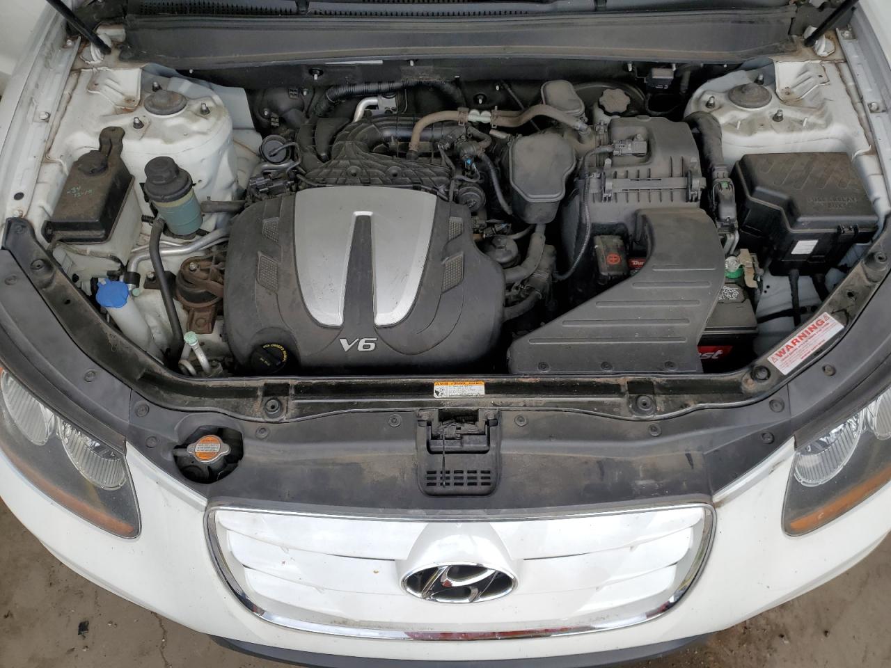 2010 Hyundai Santa Fe VIN 5NMSKDAG3AH339665 Copart auction photo, rear end / side damage thumbnail 12