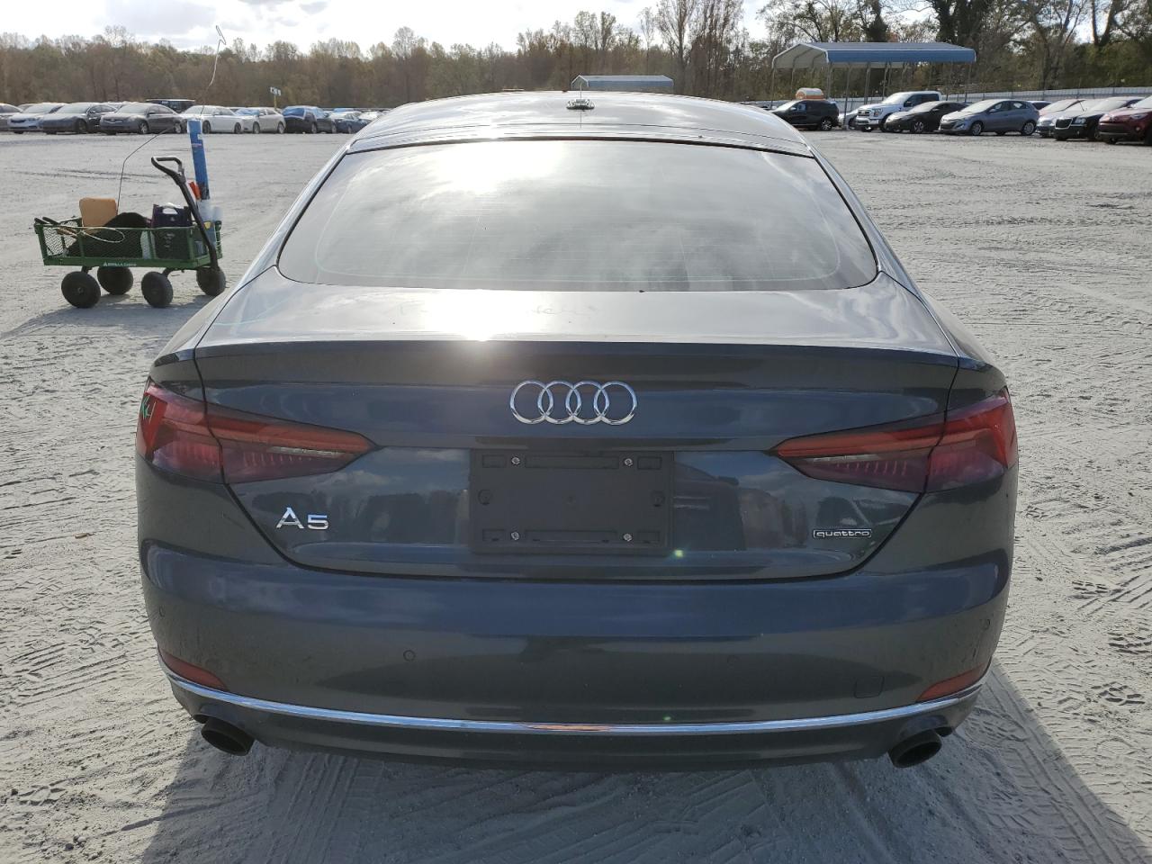 2019 Audi A5 VIN WAUBNCF5XKA044614 Copart auction photo, top/roof damage thumbnail 6