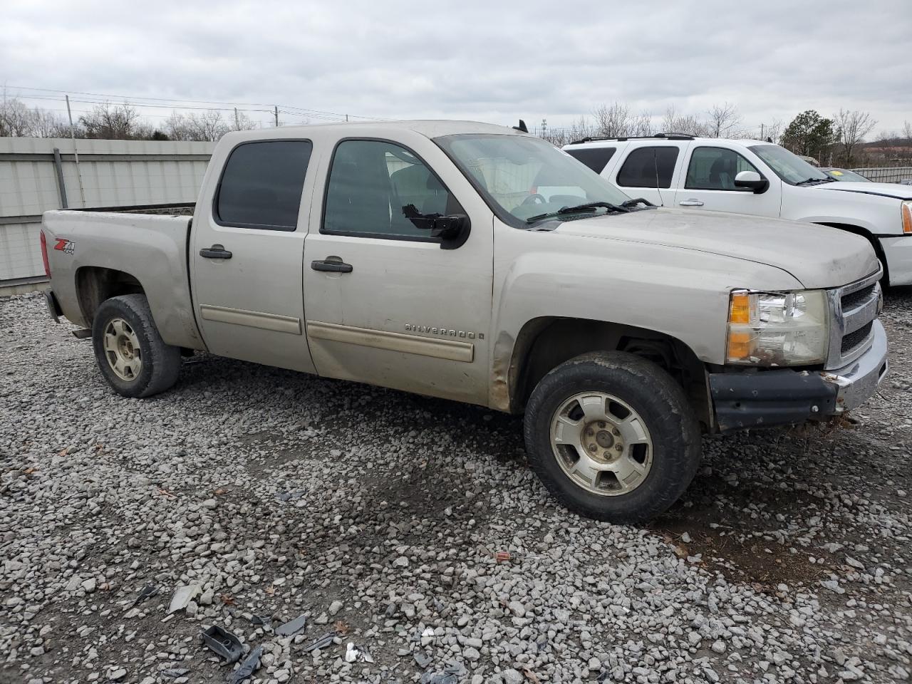 2009 Chevrolet Silverado VIN 3GCEK23349G238010 Copart auction photo, side damage thumbnail 4