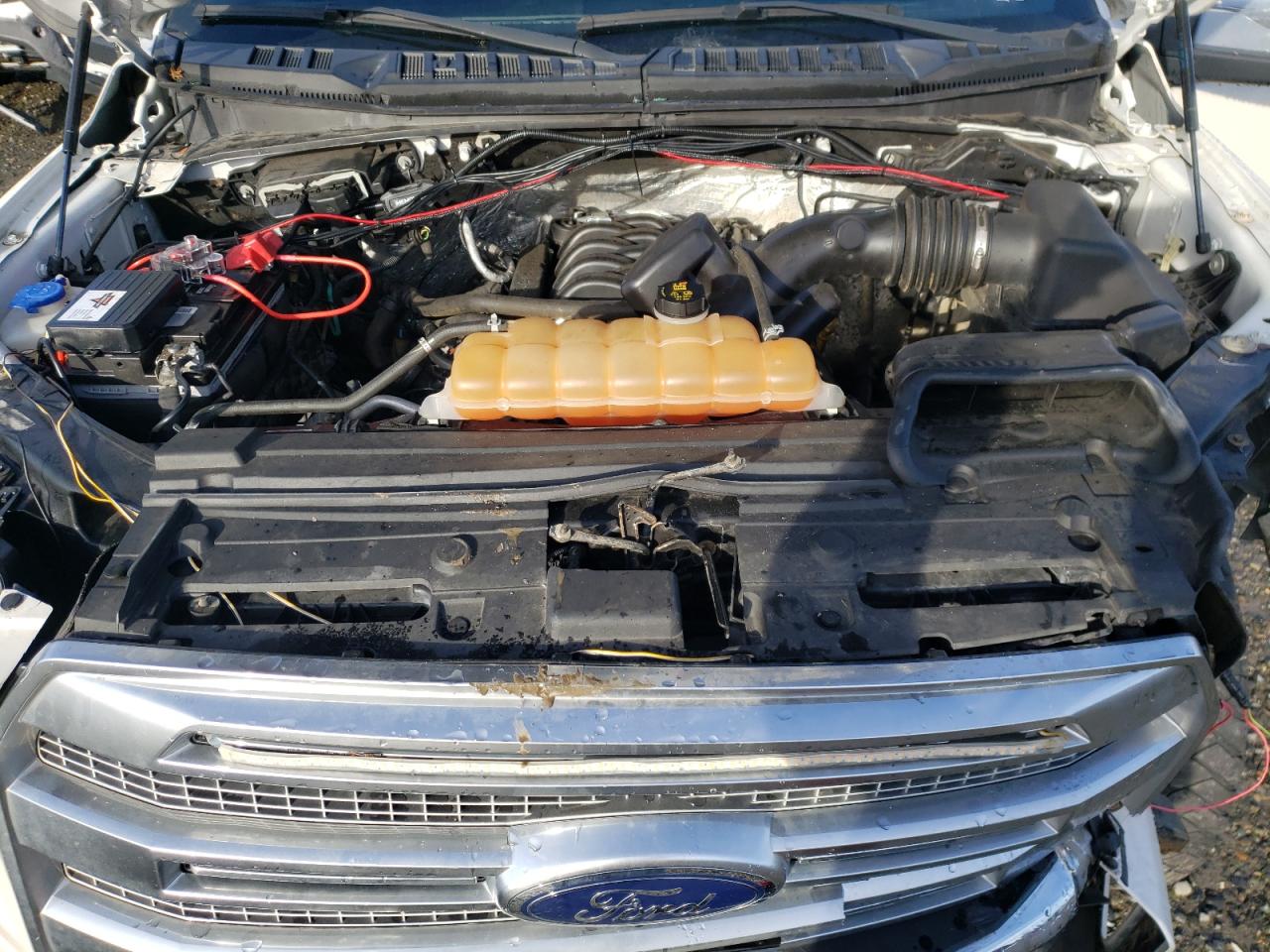 2016 Ford F-150 VIN 1FTEW1EF4GFC75515 Copart auction photo, front end / side damage thumbnail 11