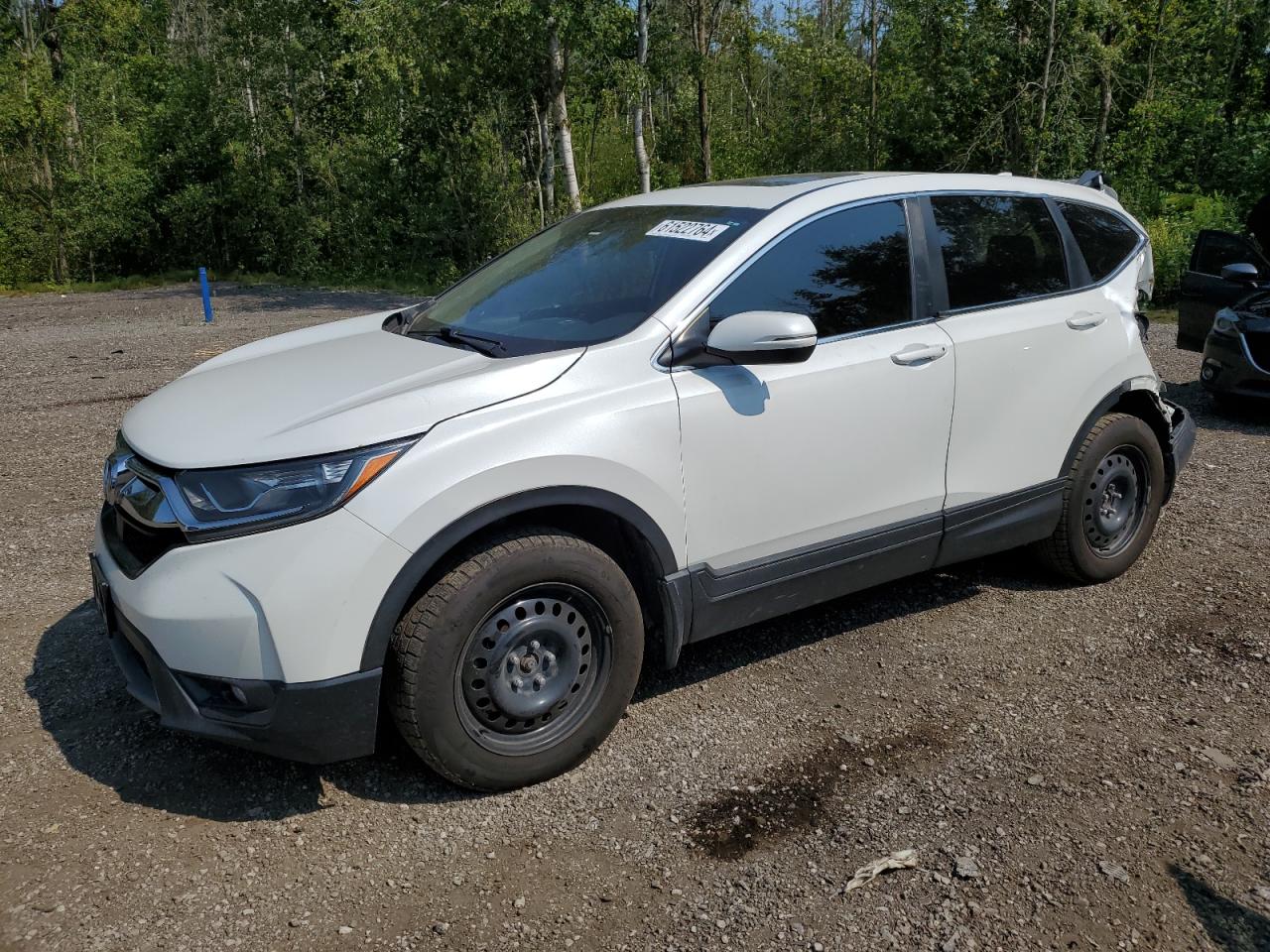 2019 Honda CR-V VIN 2HKRW2H55KH144117