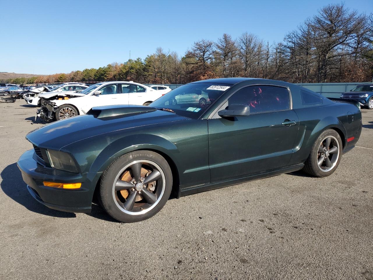 2009 Ford Mustang VIN 1ZVHT82HX95119599