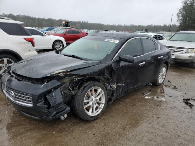 2009 Nissan Maxima VIN 1N4AA51E99C838473