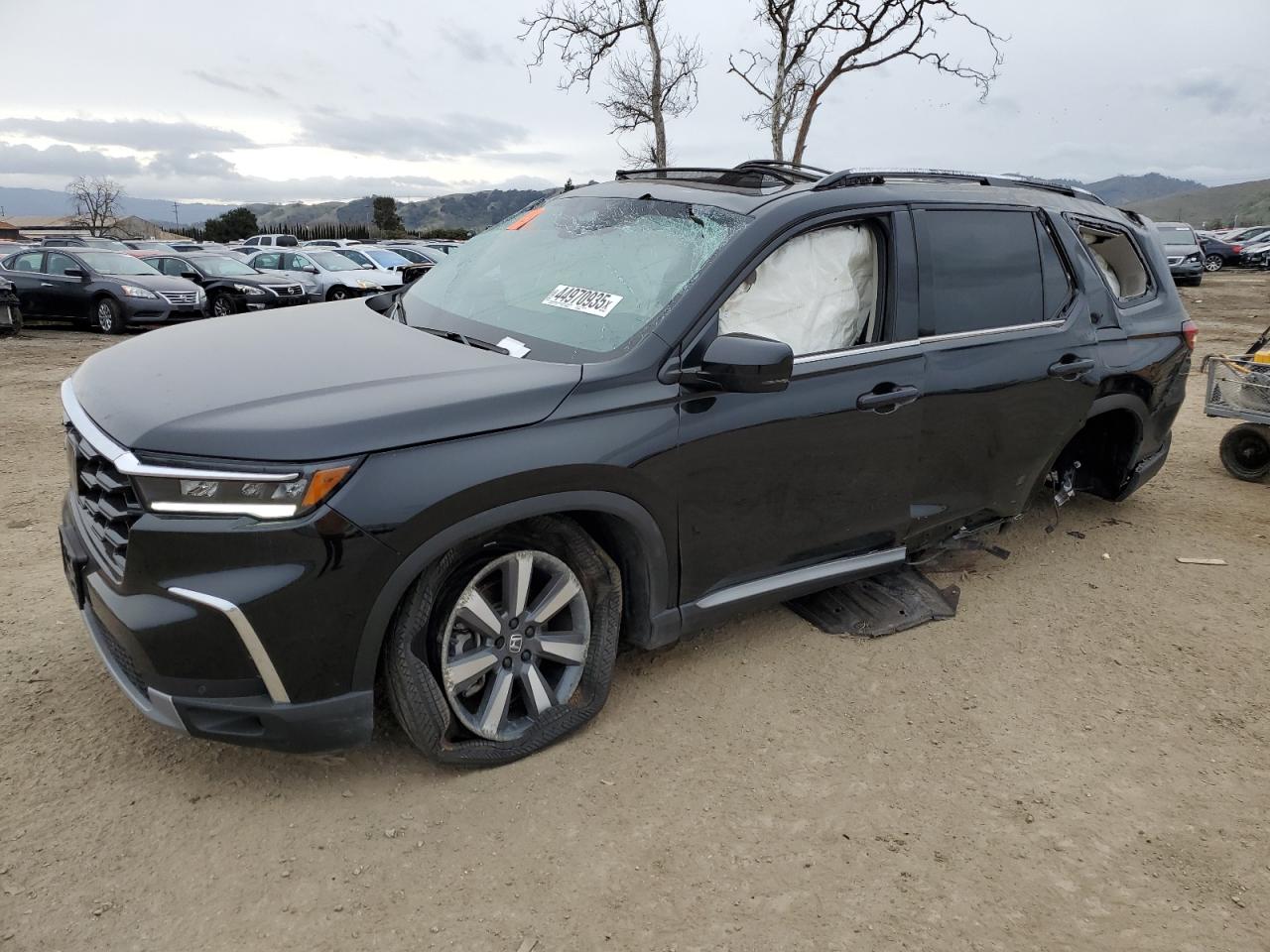 2024 Honda Pilot VIN 5FNYG1H75RB036660