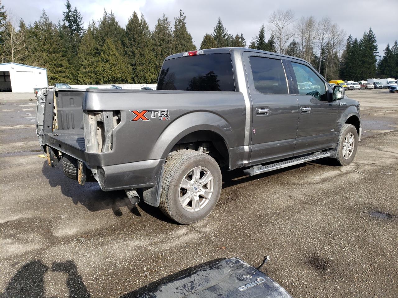 2016 Ford F-150 VIN 1FTEW1EG8GKF59083 Copart auction photo, rear end damage thumbnail 3