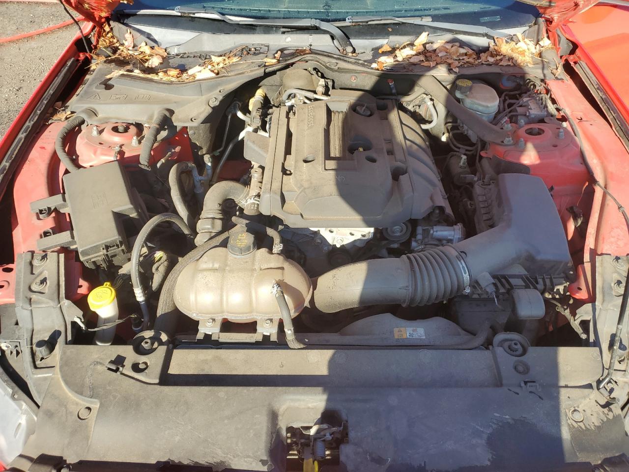2017 Ford Mustang VIN 1FATP8UH0H5293488 Copart auction photo, rear end damage thumbnail 11