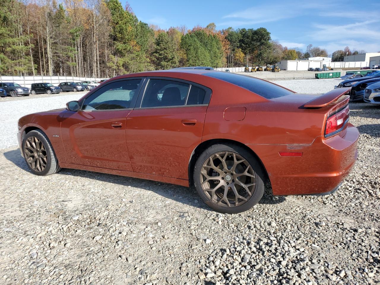 2013 Dodge Charger VIN 2C3CDXCT2DH570684 Copart auction photo, side damage thumbnail 2