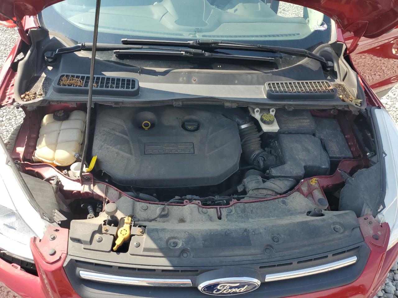 2014 Ford Escape VIN 1FMCU9G91EUB77601 Copart auction photo, front end / side damage thumbnail 13