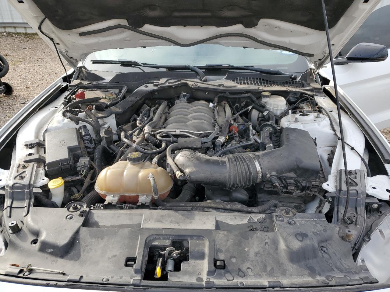 2019 Ford Mustang VIN 1FA6P8CF1K5139716 Copart auction photo, rear end / minor dent/scratches damage thumbnail 11