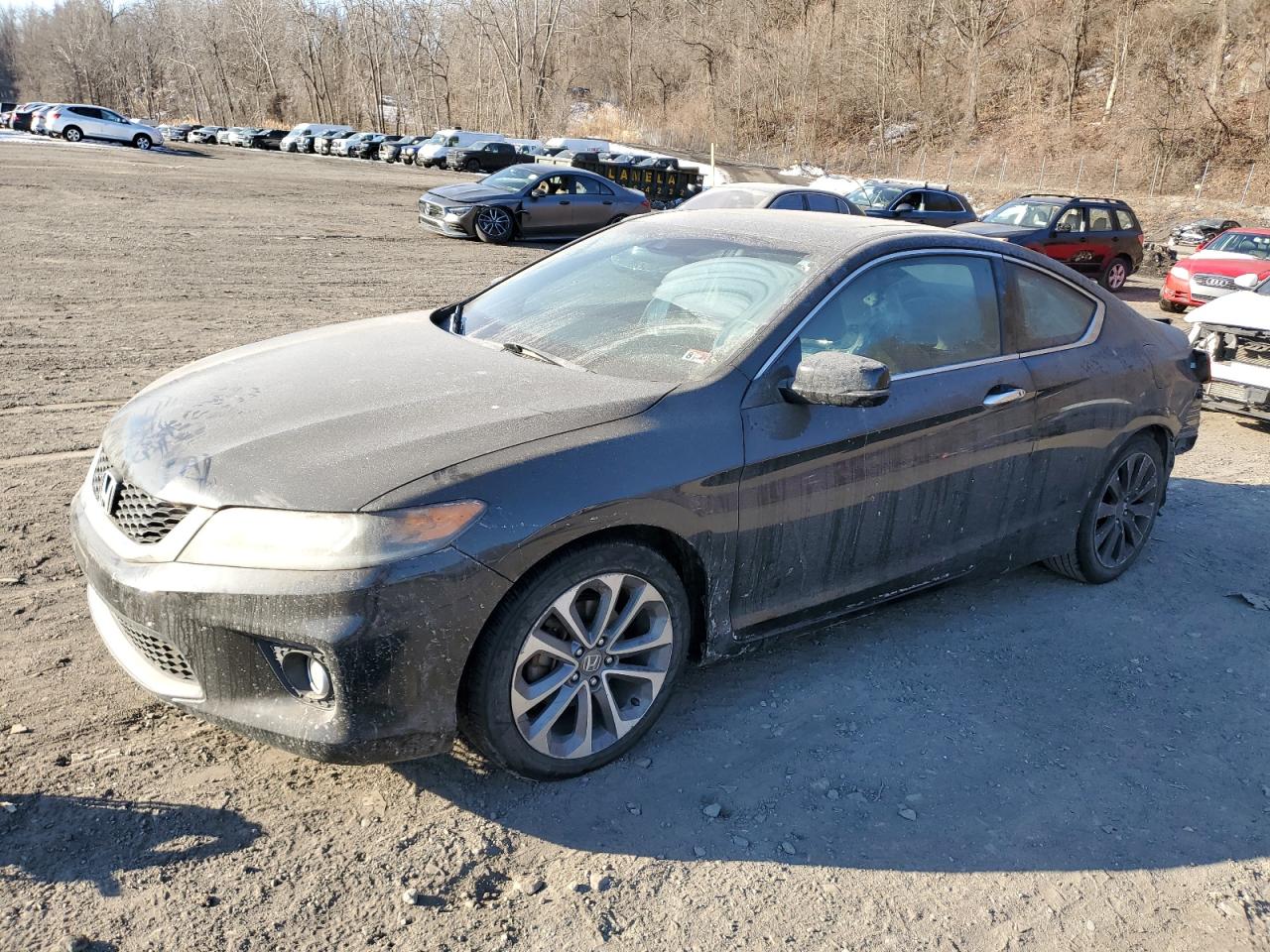 2013 Honda Accord VIN 1HGCT2B8XDA005419