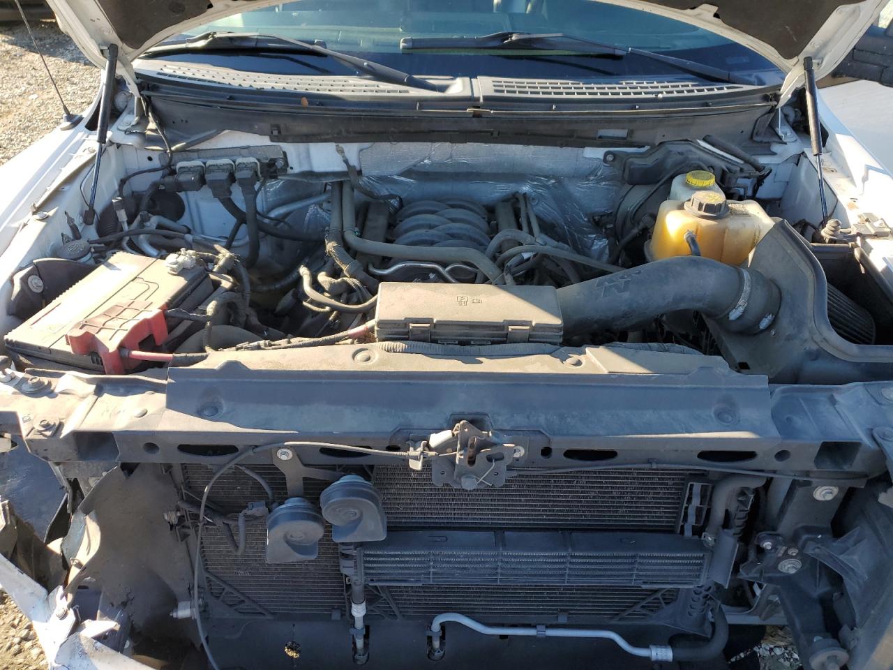 2014 Ford F-150 VIN 1FTFW1EF8EFC55608 Copart auction photo, front end damage thumbnail 12