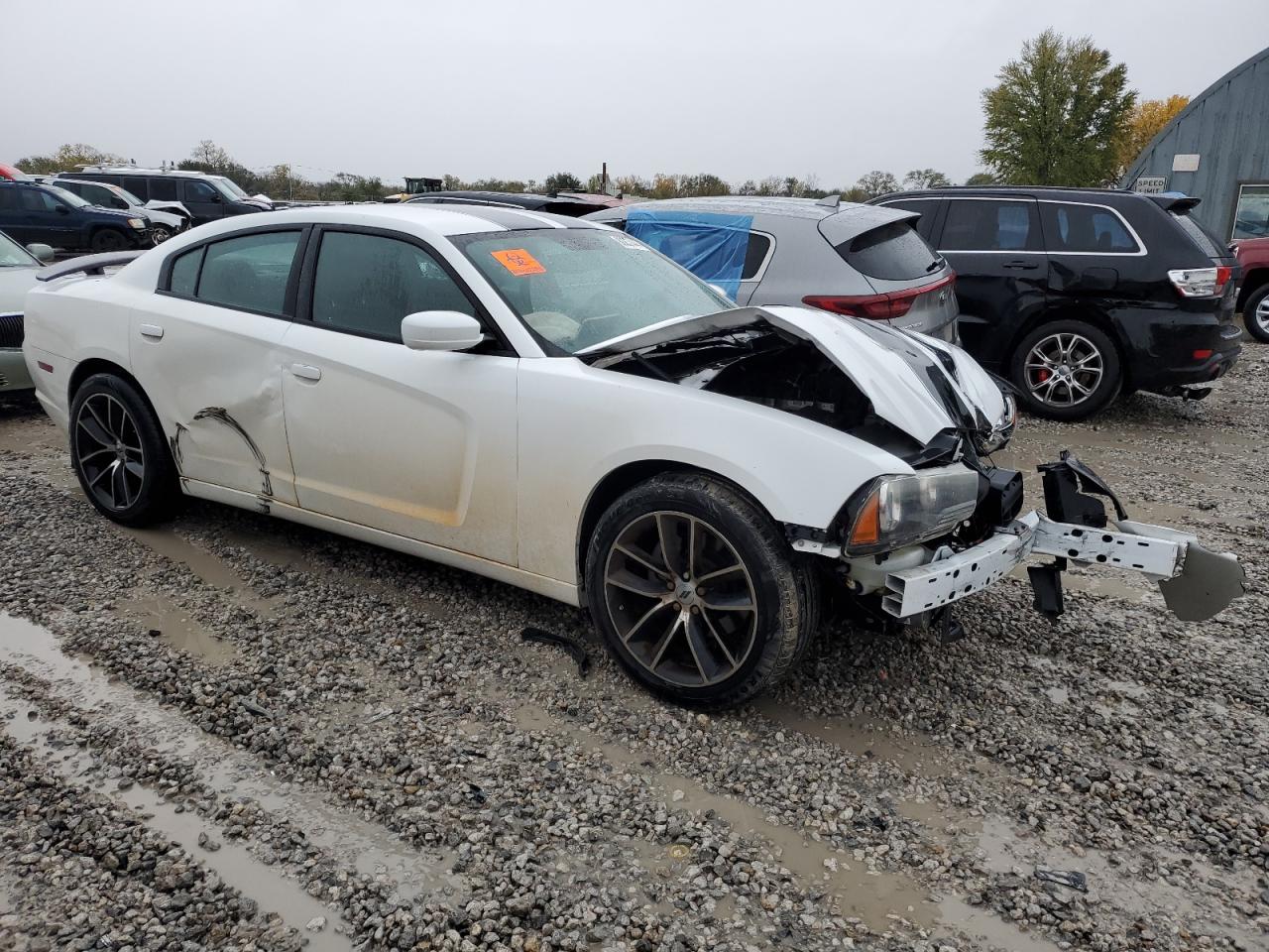 2014 Dodge Charger VIN 2C3CDXAT2EH246008 Copart auction photo, all over damage thumbnail 4