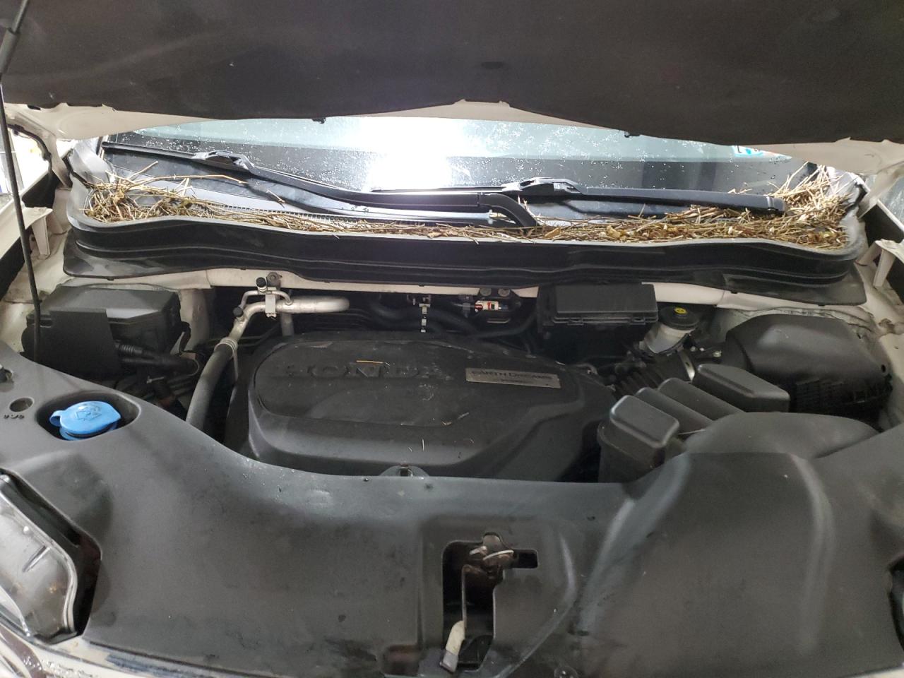 2019 Honda Pilot VIN 5FNYF6H5XKB024685 Copart auction photo, all over damage thumbnail 13