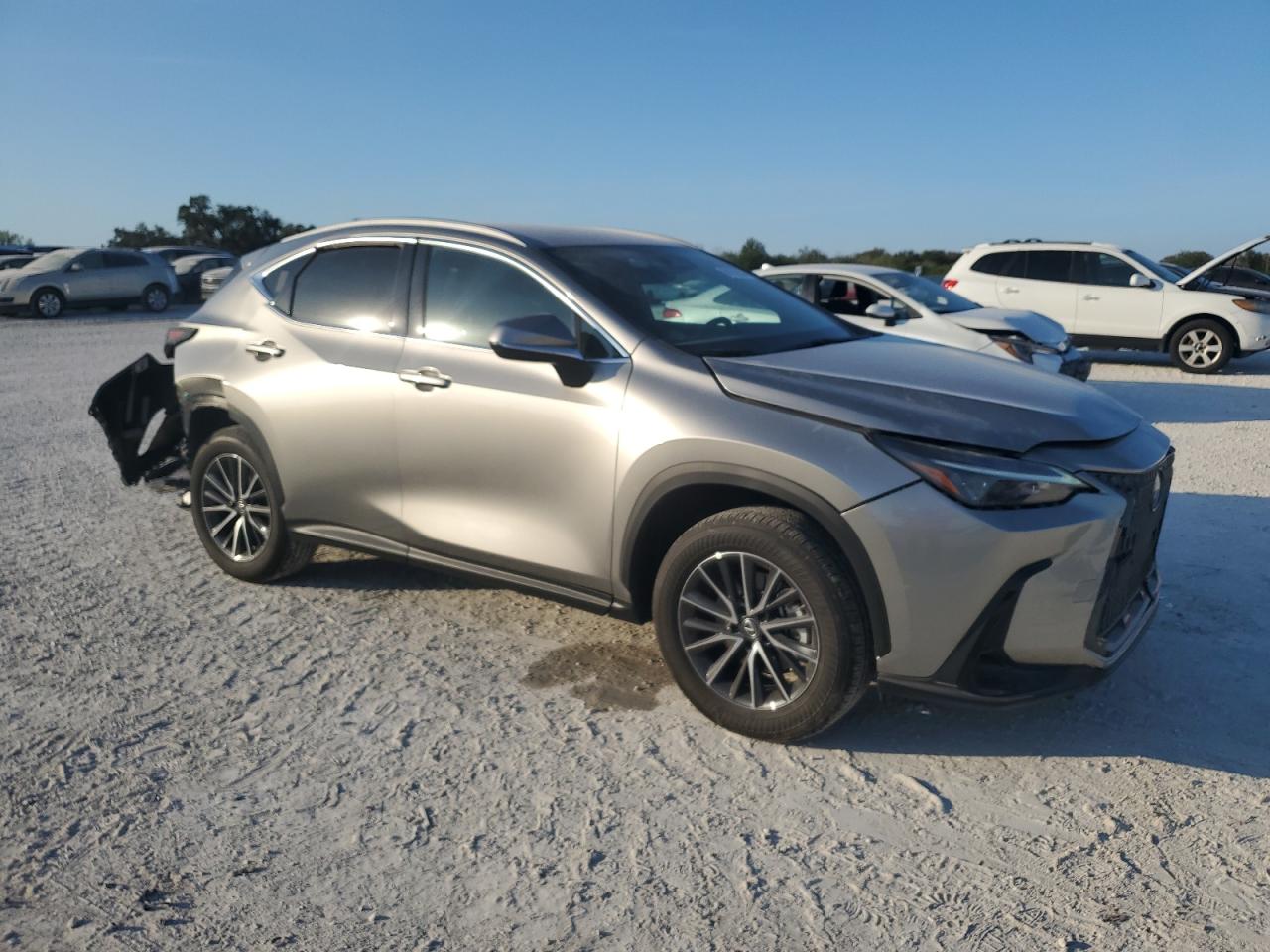 2023 Lexus NX VIN 2T2ADCAZ1PC004724 Copart auction photo, rear end / minor dent/scratches damage thumbnail 4