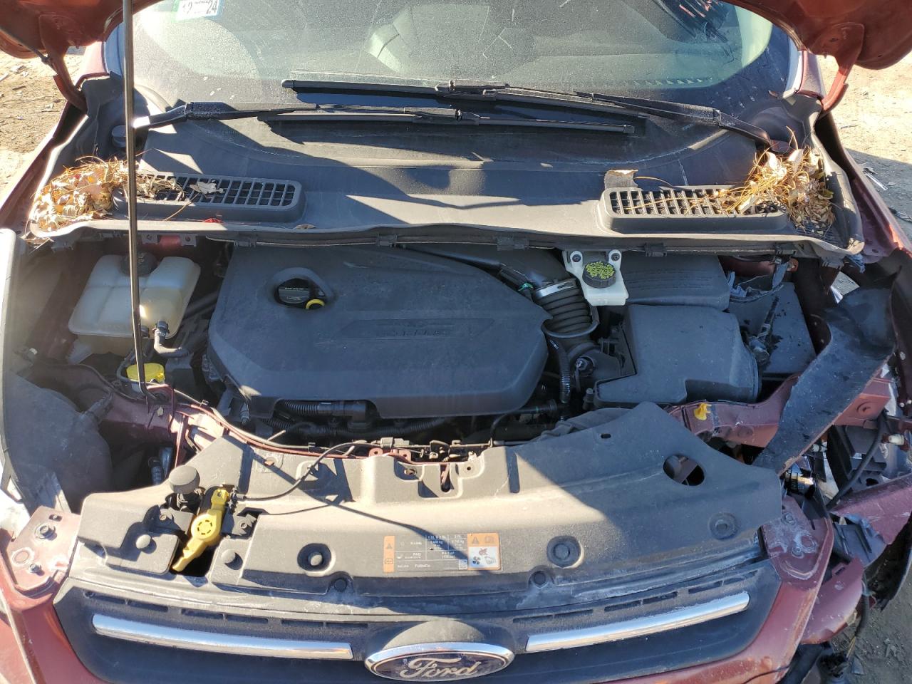 2014 Ford Escape VIN 1FMCU0GX6EUE37601 Copart auction photo, front end damage thumbnail 13
