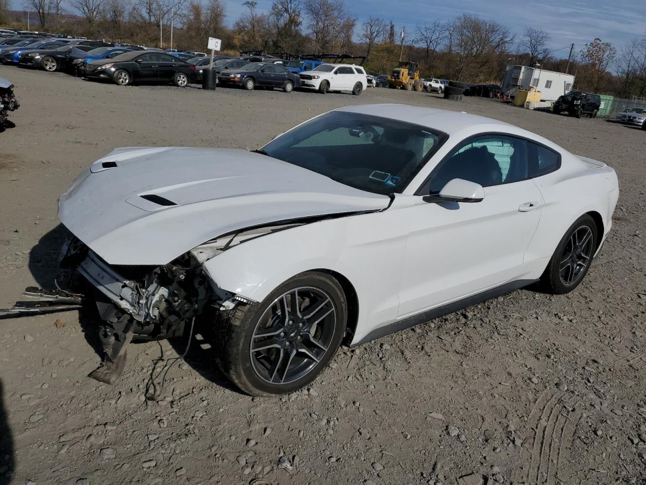 2020 Ford Mustang VIN 1FA6P8TH0L5112493