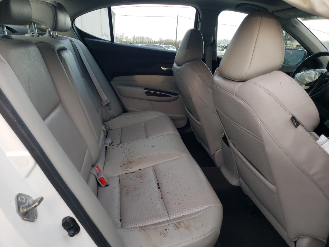 2015 Acura TLX VIN 19UUB2F59FA025784 Copart auction photo, front end / undercarriage damage thumbnail 10