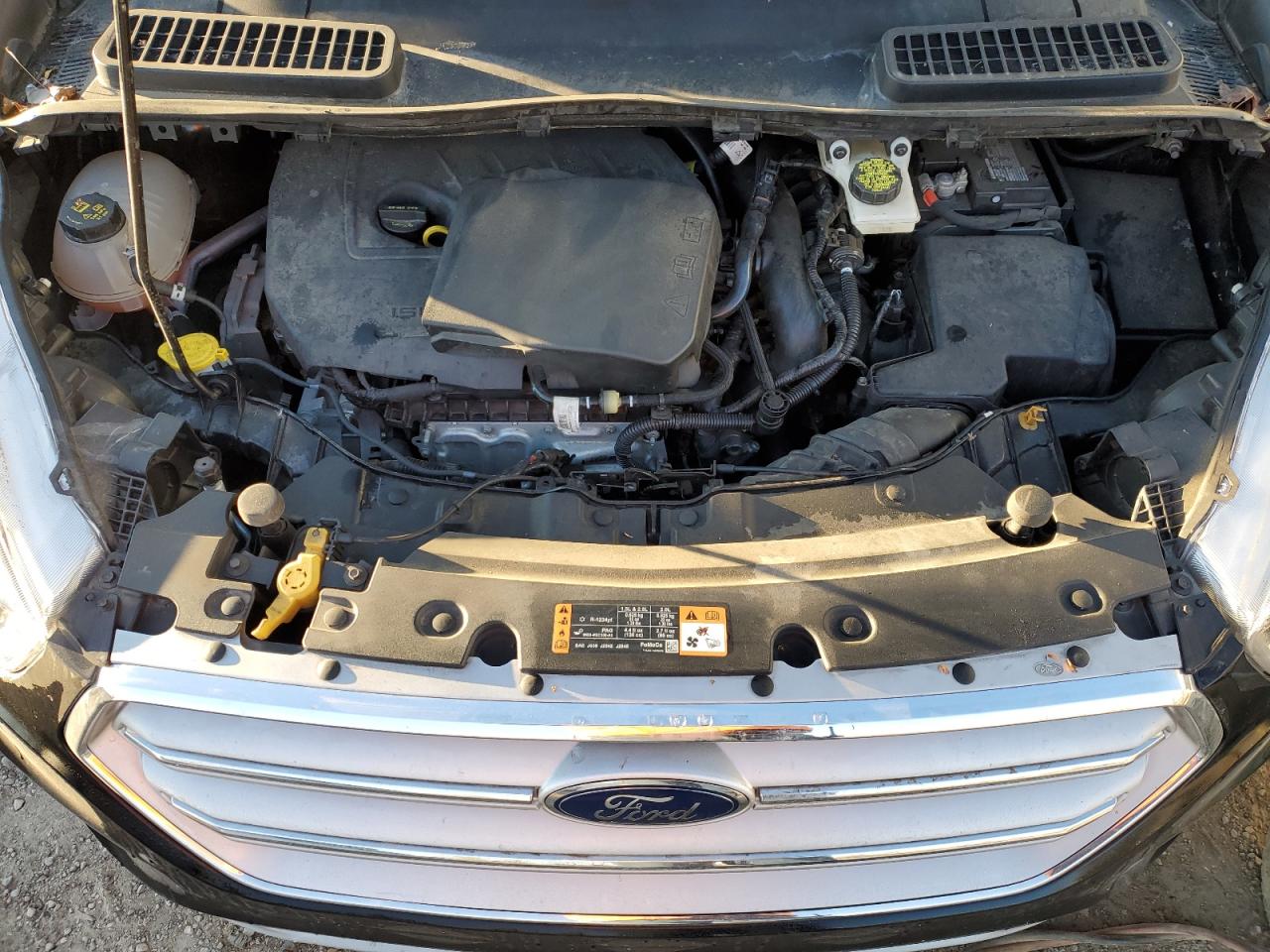 2018 Ford Escape VIN 1FMCU0GD8JUD18724 Copart auction photo, side / minor dent/scratches damage thumbnail 13
