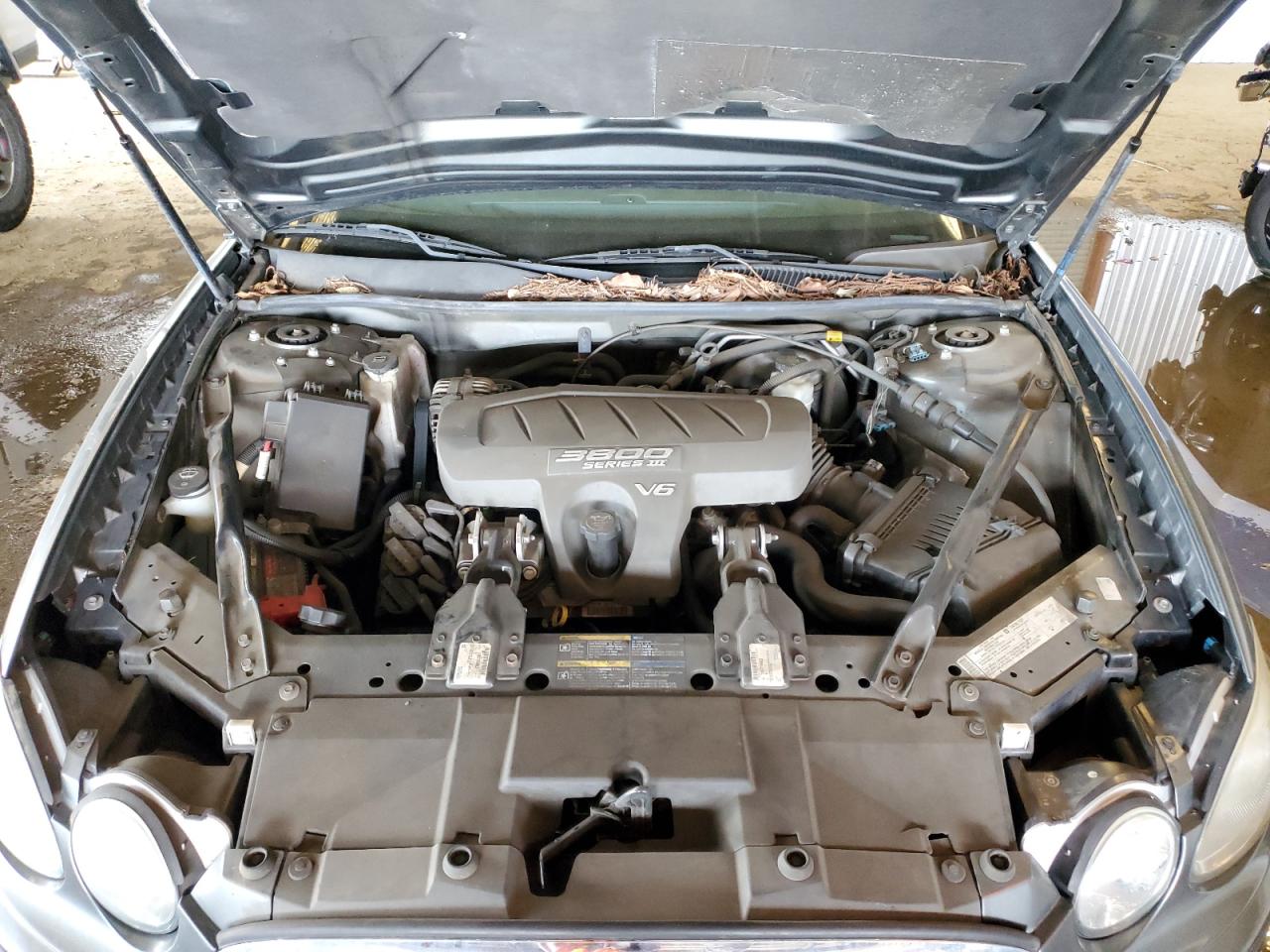2005 Buick LaCrosse VIN 2G4WD532X51279392 Copart auction photo, rear end damage thumbnail 11