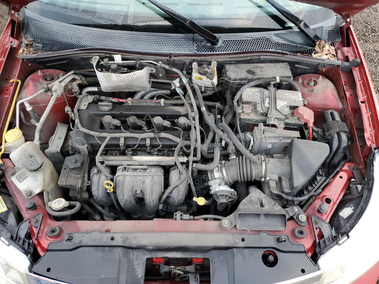 2009 Ford Focus VIN 1FAHP35N79W177875 Copart auction photo, side / front end damage thumbnail 11