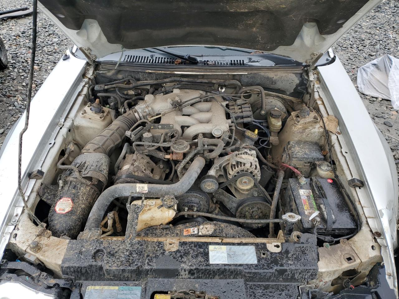 2003 Ford Mustang VIN 1FAFP40473F321914 Copart auction photo, minor dent/scratches damage thumbnail 11