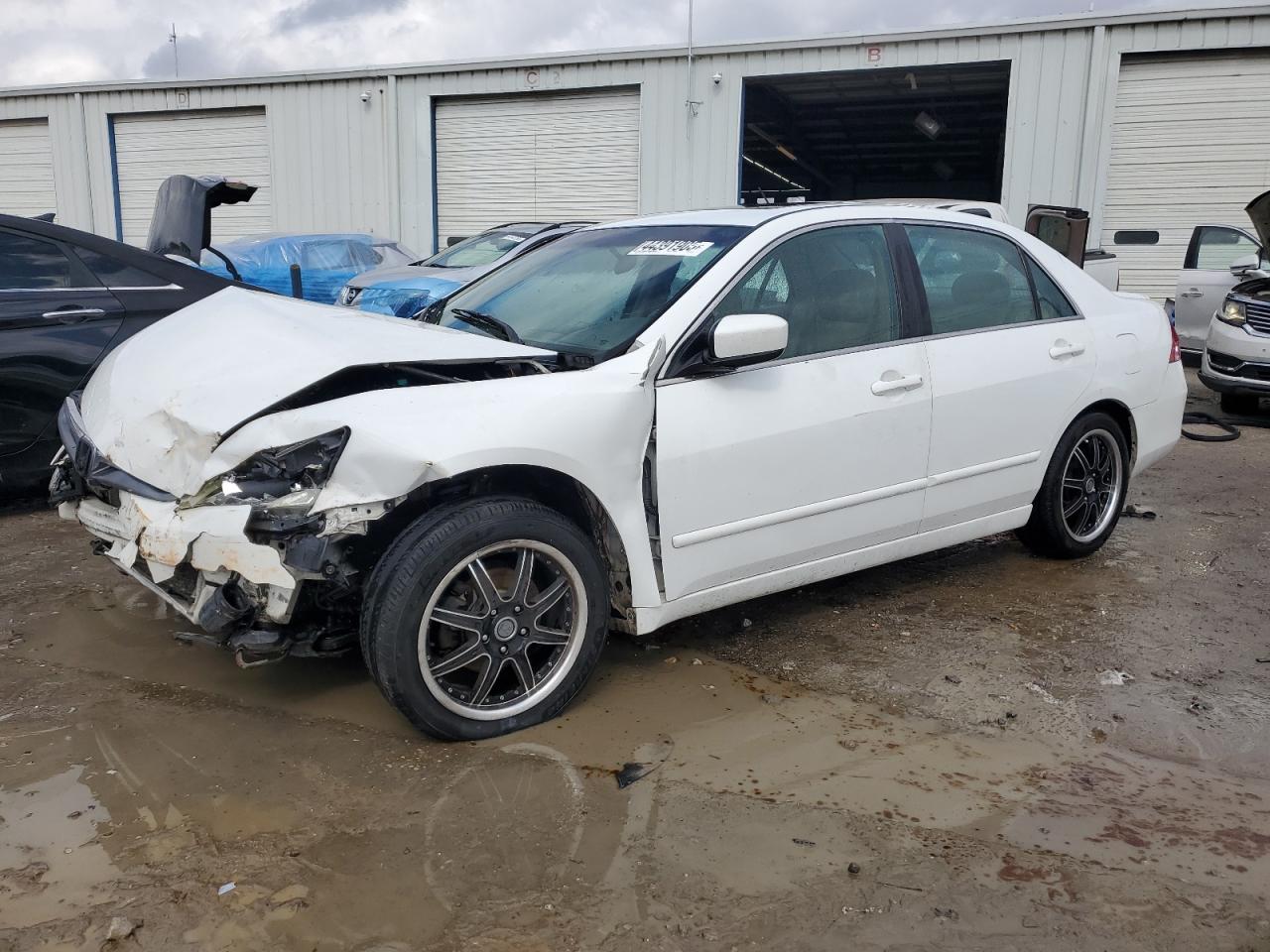 2007 Honda Accord VIN 1HGCM66577A077168 - Copart auction photo