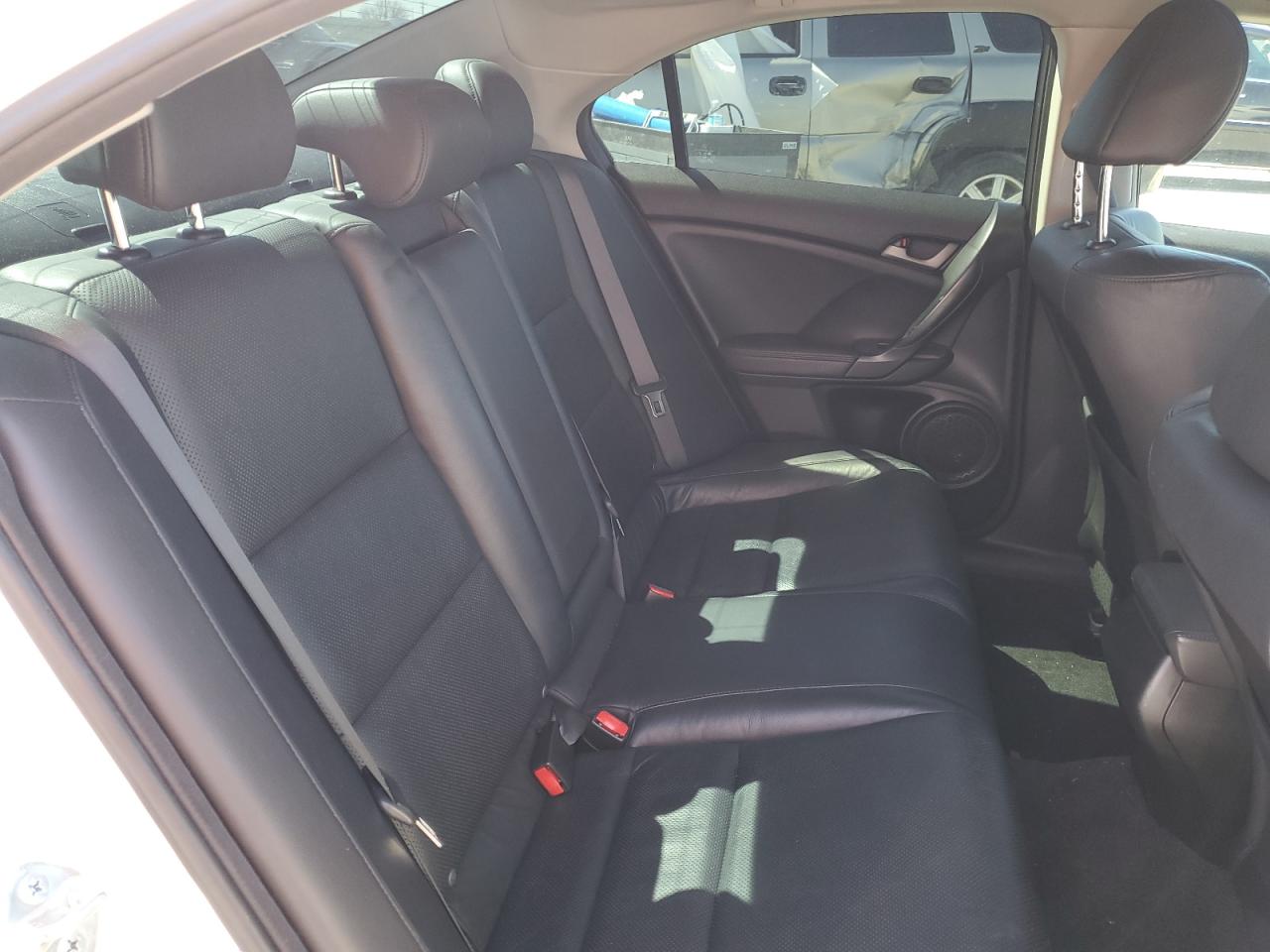 2009 Acura TSX VIN JH4CU26679C030762 Copart auction photo, hail damage thumbnail 10