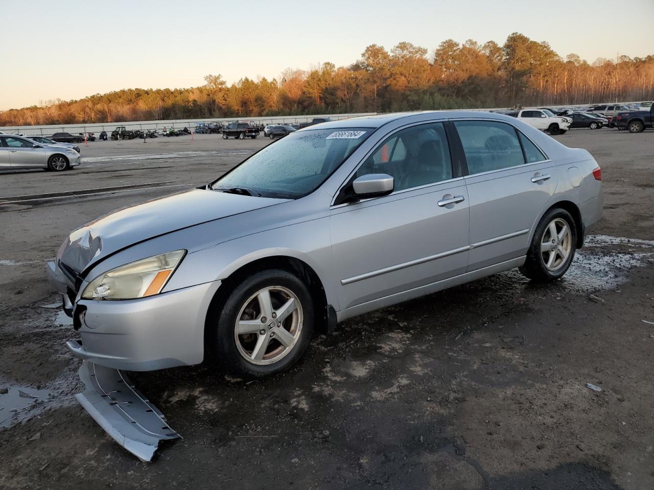 2006 Honda Accord VIN 1HGCM56885A175059