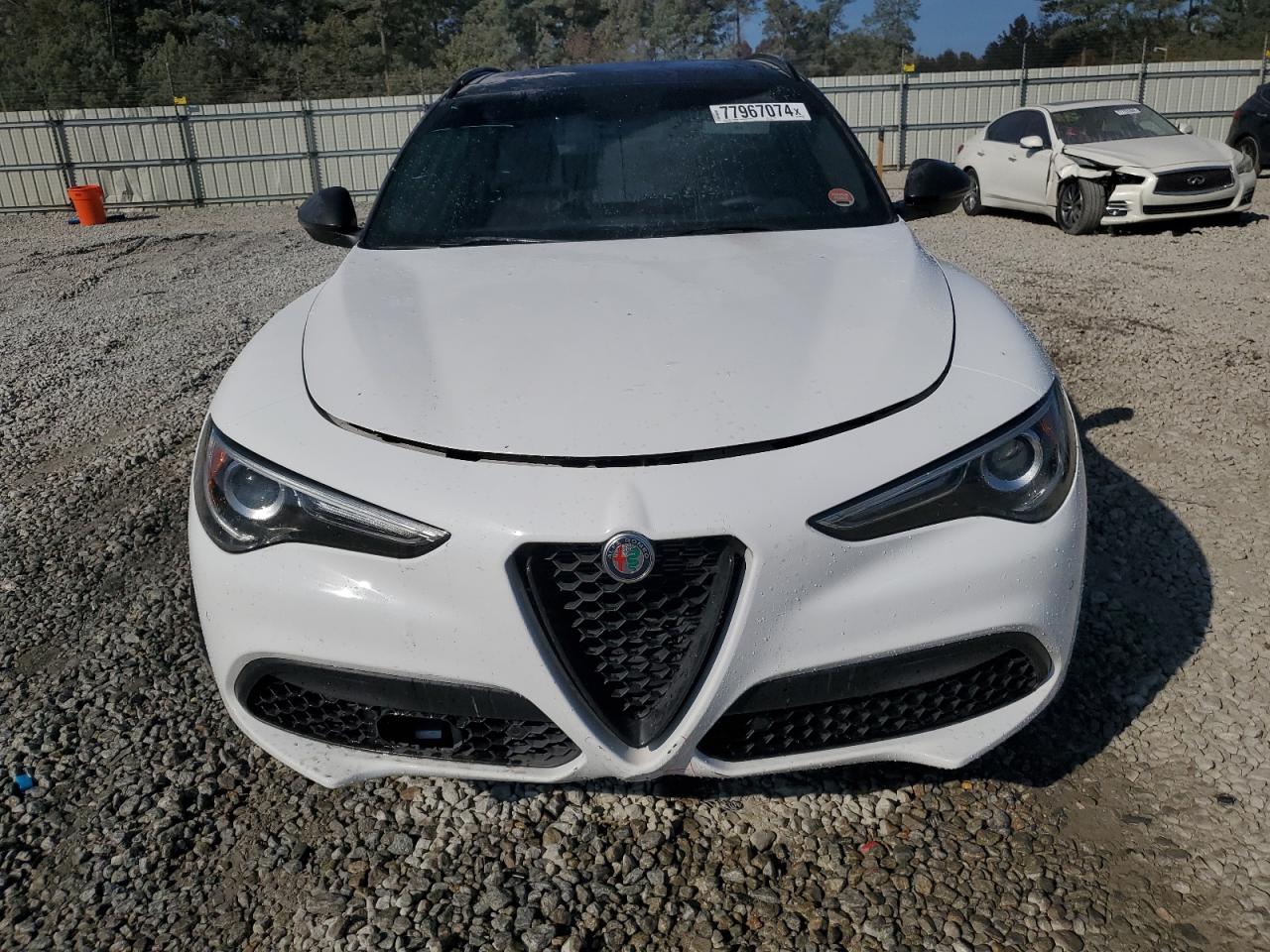 2019 Alfa Romeo Stelvio VIN ZASPAKBN9K7C50404 Copart auction photo, side / minor dent/scratches damage thumbnail 5