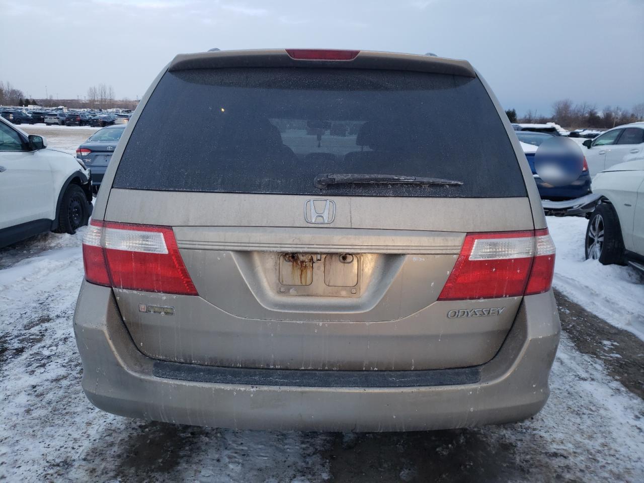 2005 Honda Odyssey VIN 5FNRL38765B505230 Copart auction photo, side damage thumbnail 6