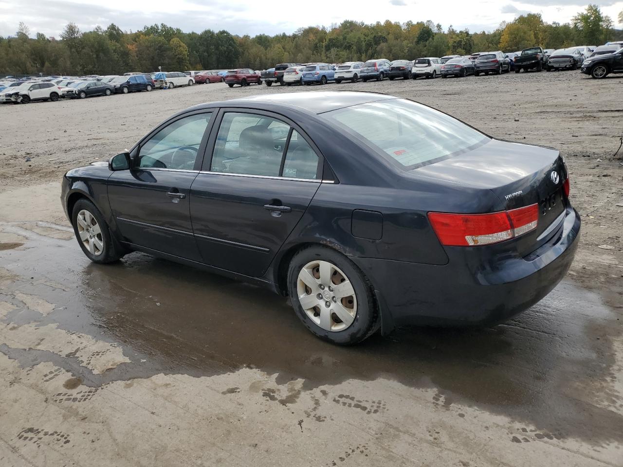 2007 Hyundai Sonata VIN 5NPET46C97H215797 Copart auction photo, side damage thumbnail 2