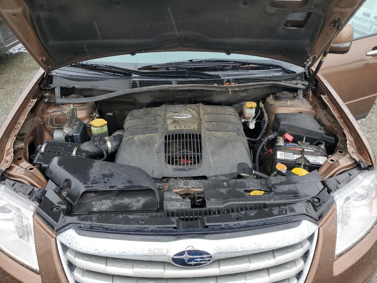 2011 Subaru Tribeca VIN 4S4WX9HD8B4402342 Copart auction photo, side / minor dent/scratches damage thumbnail 12