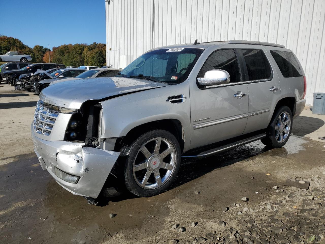 2010 Cadillac Escalade VIN 1GYUKBEF2AR269192