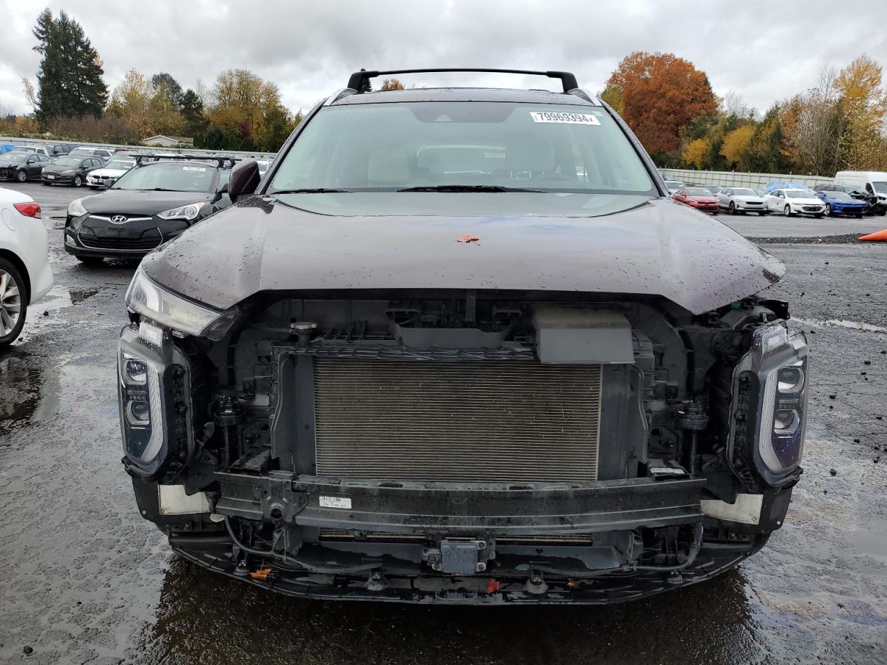 2021 Hyundai Palisade VIN KM8R5DHE1MU313195 Copart auction photo, side / front end damage thumbnail 5