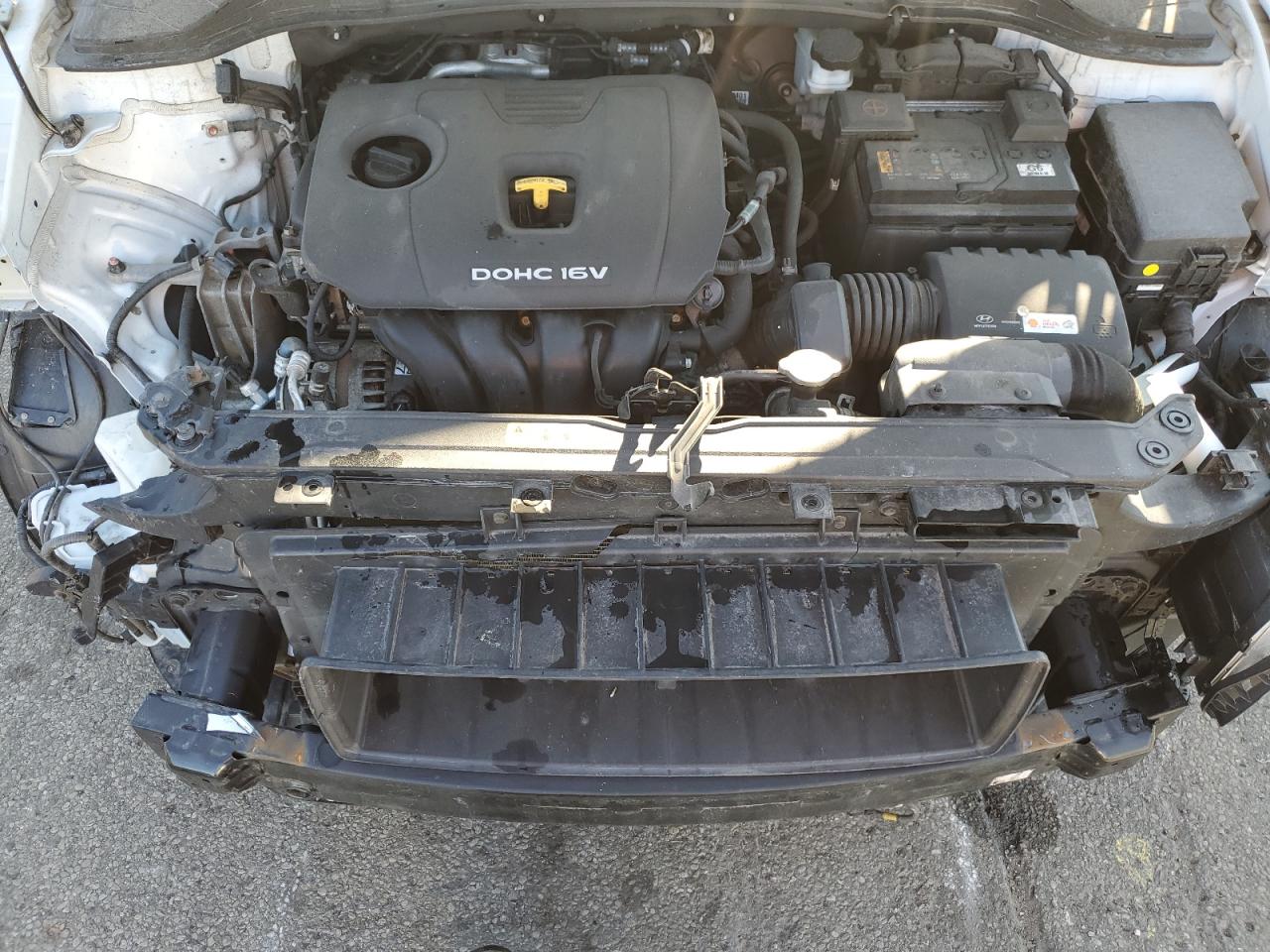 2019 Hyundai Kona VIN KM8K1CAA3KU301092 Copart auction photo, front end damage thumbnail 10