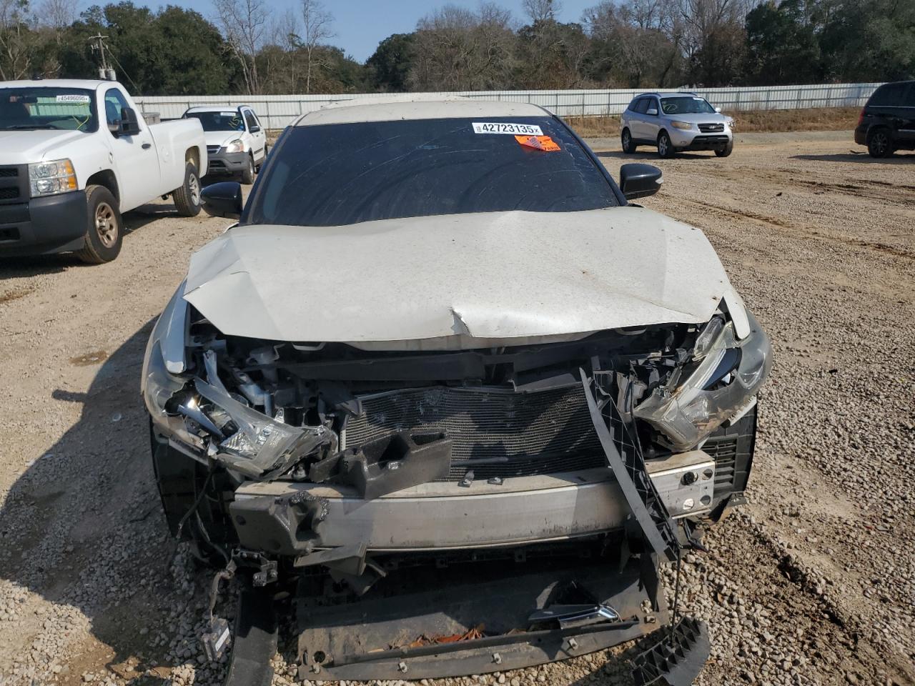 2016 Nissan Maxima VIN 1N4AA6AP1GC423247 Copart auction photo, rear end / front end damage thumbnail 5